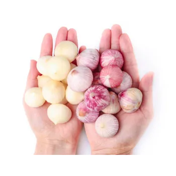 Frozen Onion (31)-5446814-74247.webp